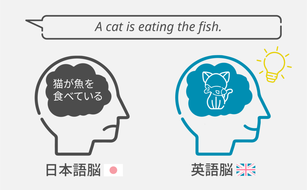 日本語脳、英語脳　比較イラスト