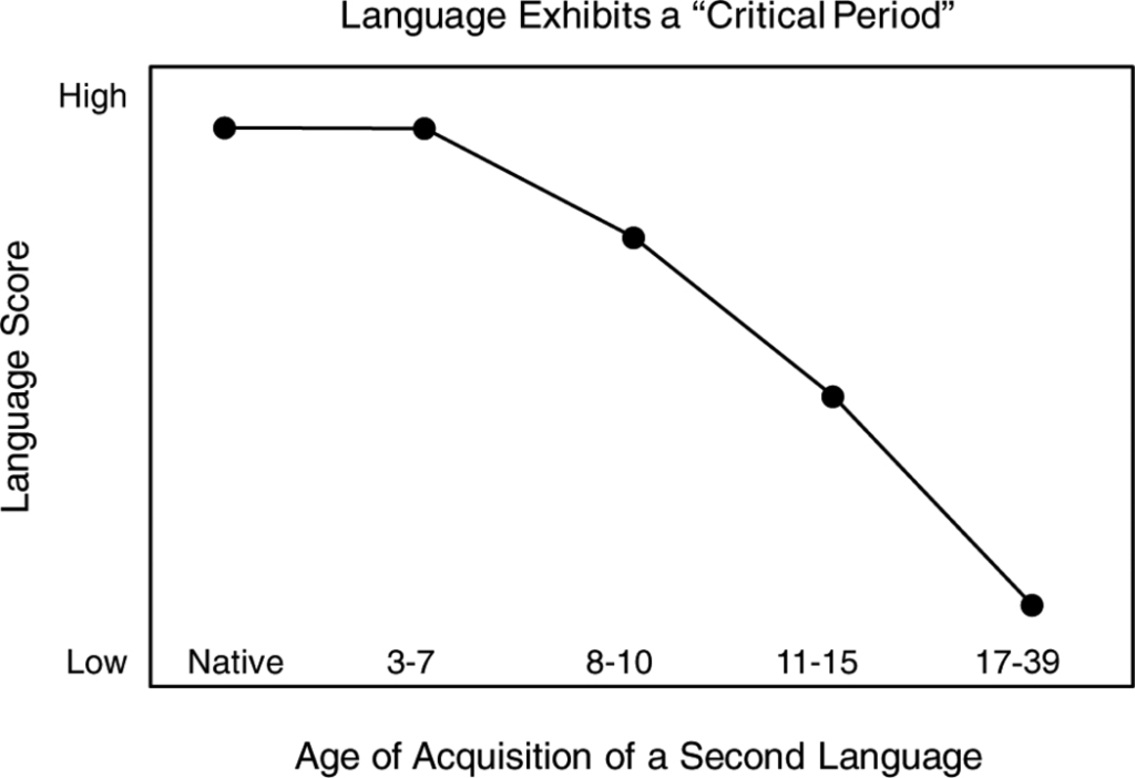 年齢と第二言語の習得力の相関図